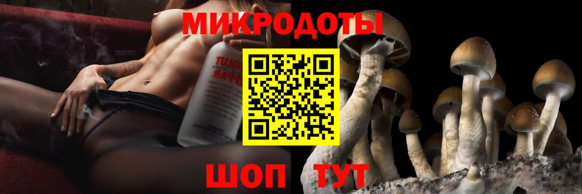 Янаул  Галлюциногенные грибы прущие грибы  Вход с VPN  Псилоцибиновые грибы прущие грибы 